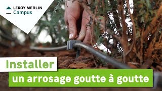 Comment installer un arrosage goutte à goutte  Leroy Merlin [upl. by Yenttirb]