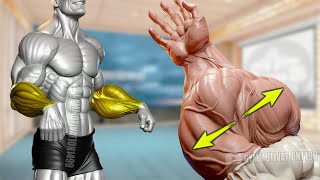 6 Effective Exercises to Get Big Veiny Forearms [upl. by Yroggerg583]