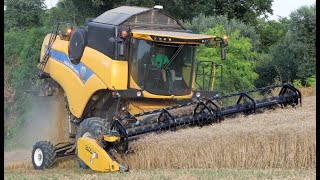 New Holland CX590 Hillside Az Agr Di Lorenzo R Harvest Season 2023 [upl. by Notwal]