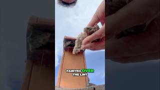 Shocking Dryer Vent Discovery What Painters Missed dryer [upl. by Ennaeus]