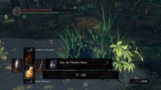 DARK SOULS REMASTERED  Blue Titanite Slab location Royal Wood [upl. by Akenat]