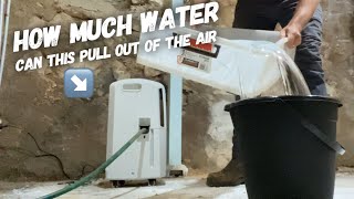 Drying out a damp cellar with a dehumidifier  Delonghi Ariadry 25L [upl. by Ondine]