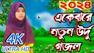 ২০২৪🤫এর একেবারে নতুন উর্দু গজল • 2024 New Urdu Gojol • Mona2Sona Vairal Gojol Rumana Khatun • [upl. by Colinson]