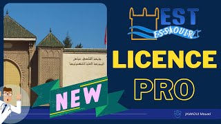 La licence professionnelle الاجازة المهنية lessentiel à savoir [upl. by Elleirda]