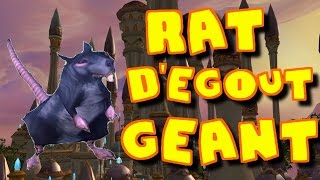 RAT DEGOUT GEANT  quotZAI CRU VOIR UN GROS RATquot  WORLD OF WARCRAFT [upl. by Laamaj]