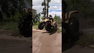 HONDA 300 JUMP INTO THE MUD shorts honda mud offroad fun [upl. by Ehav]