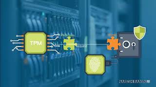 TPM explained in a simplified sense elaborated brief  Enable TPM in BIOSUEFI  Version check [upl. by Lissa]