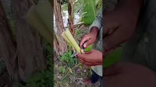 Camping funny hacks⛺😁outdoors survival bushcraft camping lifehacks skills forest [upl. by Marvin]