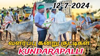 1272024 kundarapalli Friday market Krishnagiri district வளர்ப்பு கன்று குட்டிகள் விற்பனை சந்தை [upl. by Wallach]