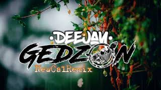 SEAN RII x GEDZON  CHU REGGAE REMIX 2K21 Ddks 4 SPLIIF [upl. by Orecul]