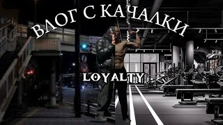 Влог С Качалки Loyalty Жёстко Тренируется Под Берсерка [upl. by Rodoeht]