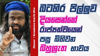 බටහිර පිල්ලුව  Suranjeewa Anoj De Silva  Laankeshwarayano [upl. by Dnomad]