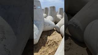 concrete tetrapods helps to resist the force of oceansoil erosion and waves [upl. by Oiramat]