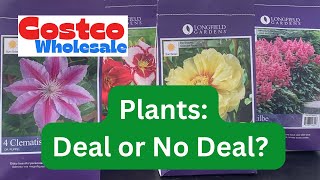 🌺Costco Plants Deal or No Deal🌿 [upl. by Atnauqahs]