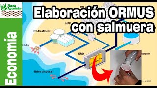 ¿Se puede usar la 🌊 SALMUERA para producir 🌱 ORMUS a gran escala [upl. by Yorick]