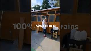 100 Bird Brains Podcast at the 119 Camp [upl. by Clem]