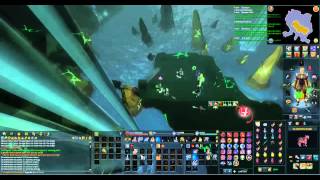 Vitalis Drop Reaction Aude 2015 [upl. by Shinberg]