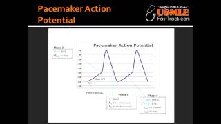 Pacemaker Action Potential [upl. by Alexandra682]