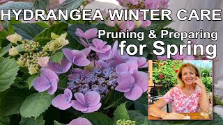 Hydrangea Winter Care Pruning and Preparing for Spring [upl. by Diver]