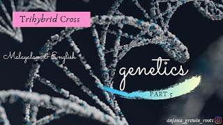 Trihybrid Cross Malayalam  Genetics 6th Semester  NEET Biology [upl. by Lekim]