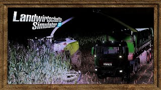 Ls22  11  Silagesorghum Häckseln im Lohn  1x Häcksler  4 x Abfahrer [upl. by Ayrolg]