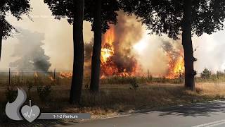 Primeur veel brandweer met spoed bij natuurbrand op park de hoge Veluwe in Otterlo [upl. by Gabriele]