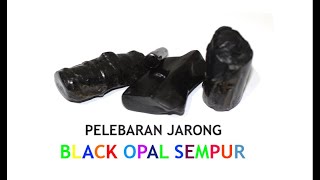 Pelebaran Jarong Black Opal Sempur [upl. by Ravilob]