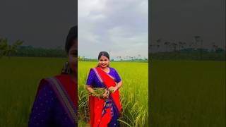 Hanthe sankha churi  nagpurisong youtubeshorts highlights flowers Mandisujuvlog [upl. by Nelly]