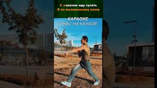 NILETTO  Счастливым shorts караоке лирик музыка music lyrics karaoke 2024 нилетто [upl. by Converse]