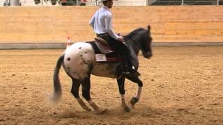 André Ottersbach  SN Triple X  EM2014  wwwappaloosatolksdorfde [upl. by Burrows167]