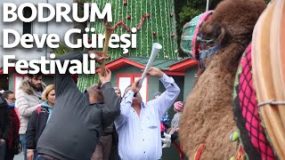 Bodrum Deve Güreşi Festivali [upl. by Edahc]