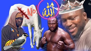 Saltigui wally Diouf waxana Lima guiss Dinewar Sa Touba Waxana Amoul Lou doy warr Combat di Siteu [upl. by Basso]