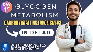 glycogen metabolism biochemistry  glycogenesis biochemistry  glycogenolysis biochemistry [upl. by Azrim675]