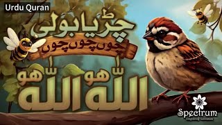 Chirya boli choo choo choo Allah Hoo Allah Hoo 30 minutes Poem Upload Urdu Quran 🌺 [upl. by Cohlette]