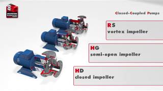 HD  HG  RS Pumps [upl. by Yesnik]