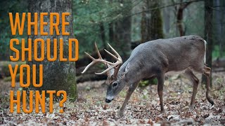 Discover New Hunting Hotspots How to Find Ideal Deer Hunting Locations with Three Essential Tips [upl. by Sanalda]