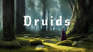 Druids  Soothing Ambient Music For Sleep and Stress Relief  Ambient Rain and Thunder [upl. by Xonel]