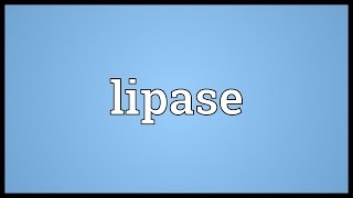 Lipase Meaning [upl. by Anette]