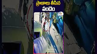 ప్రాణాలు తీసిన పందెం [upl. by Molly415]