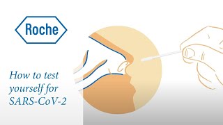 How to Take a COVID19 Antigen Home Test Flowflex  Positive vs Negative COVID19 Test [upl. by Odell267]