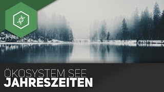 Ökosystem See  Jahreszeiten [upl. by Sivraj]