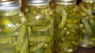 Naturally Fermented Dill Pickles Recipe  Рецепт Малосольных Огурцов [upl. by Nyrhtac]