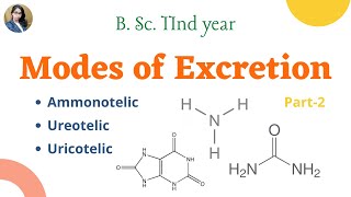 Modes of Excretion  B Sc 2nd year  Zoology [upl. by Ob425]