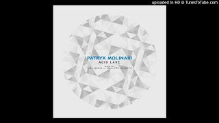 Patryk Molinari  Acid Lake [upl. by Frymire]