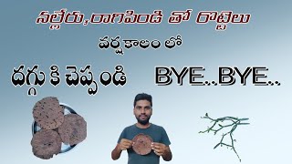 వర్ష కాలంలో దగ్గు తగ్గాలంటే ఇవి తినాల్సిందేనల్లేరు రాగిరొట్టెలుcough and throat infection relief [upl. by Icam]