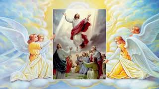 Holy Rosary  Glorious Mysteries  Wednesday amp Sunday [upl. by Ansley]