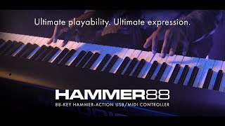 Introducing MAudio Hammer 88 feat Joel Holmes [upl. by Chrissa406]