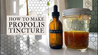 How To Make Propolis Tincture Easy At Home Herbalism [upl. by Whitten]