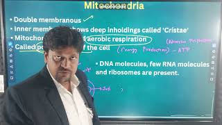 Mitochondria Class 9th [upl. by Norehs]