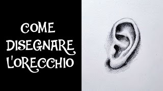 COME DISEGNARE LORECCHIO [upl. by Elberta]